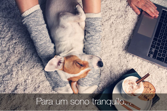 Smartphone ZTE Shade L5 Cinza