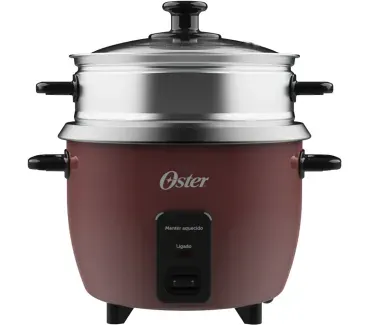 OPAN3101